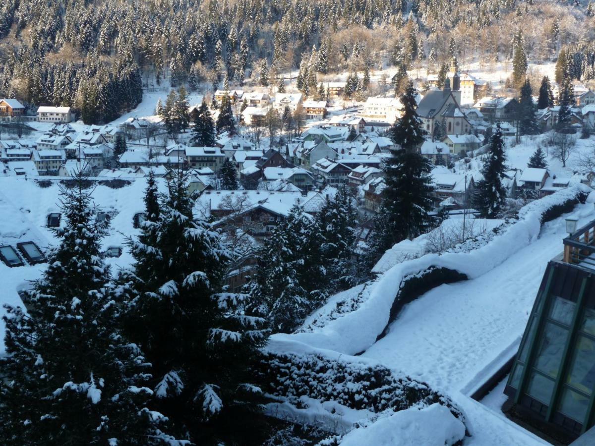 Haus Dachsberg Todtmoos 아파트 외부 사진