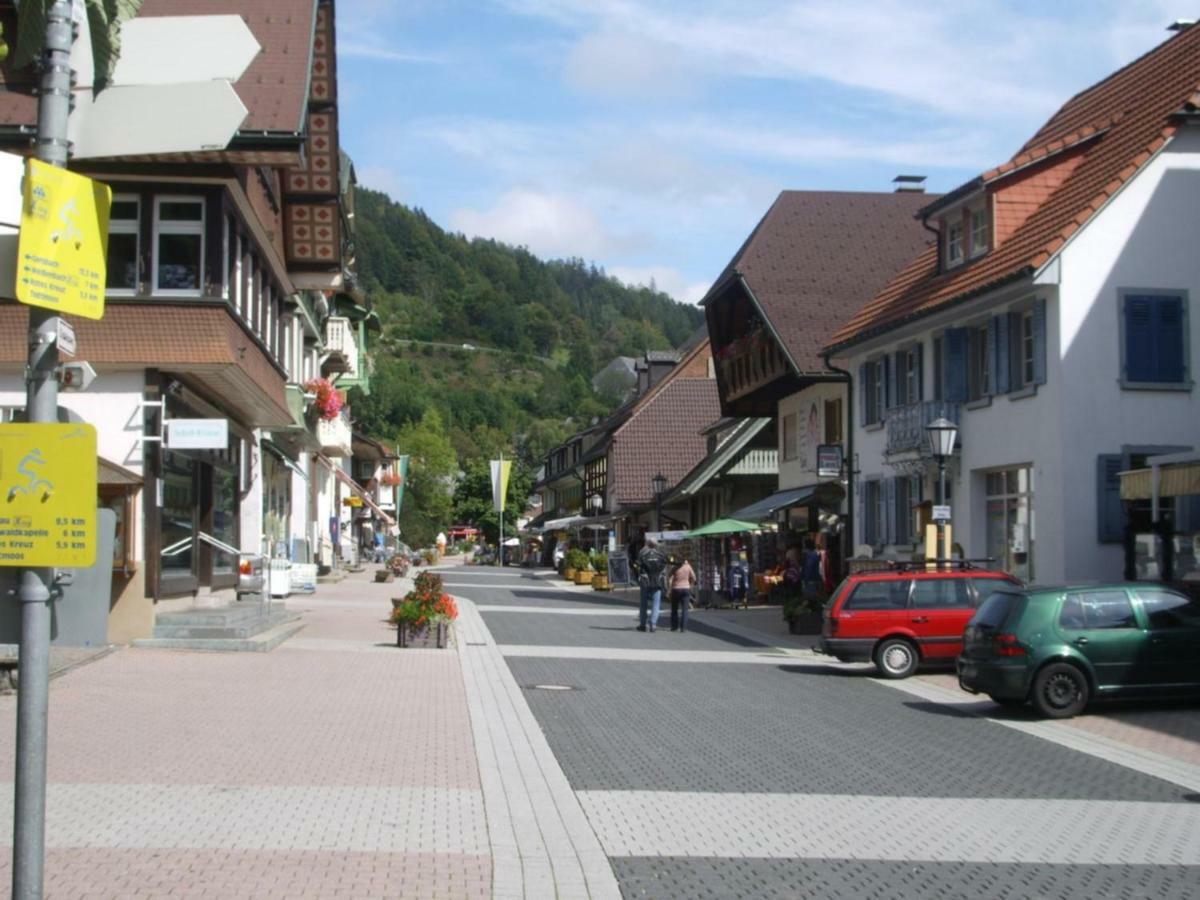 Haus Dachsberg Todtmoos 아파트 외부 사진