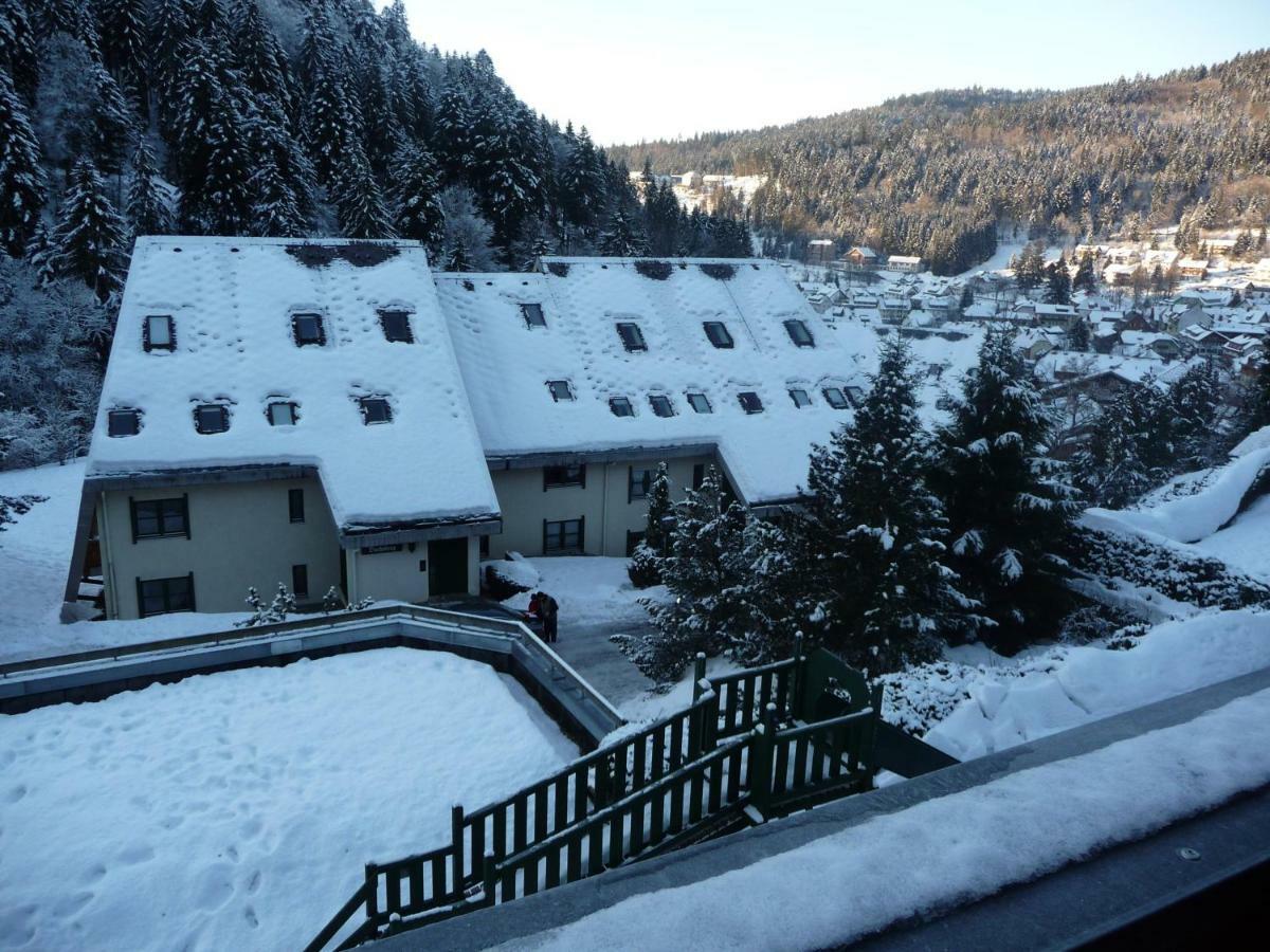 Haus Dachsberg Todtmoos 아파트 외부 사진